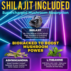 Key Elements organic Shilajit for enhanced absorption and vitality.
