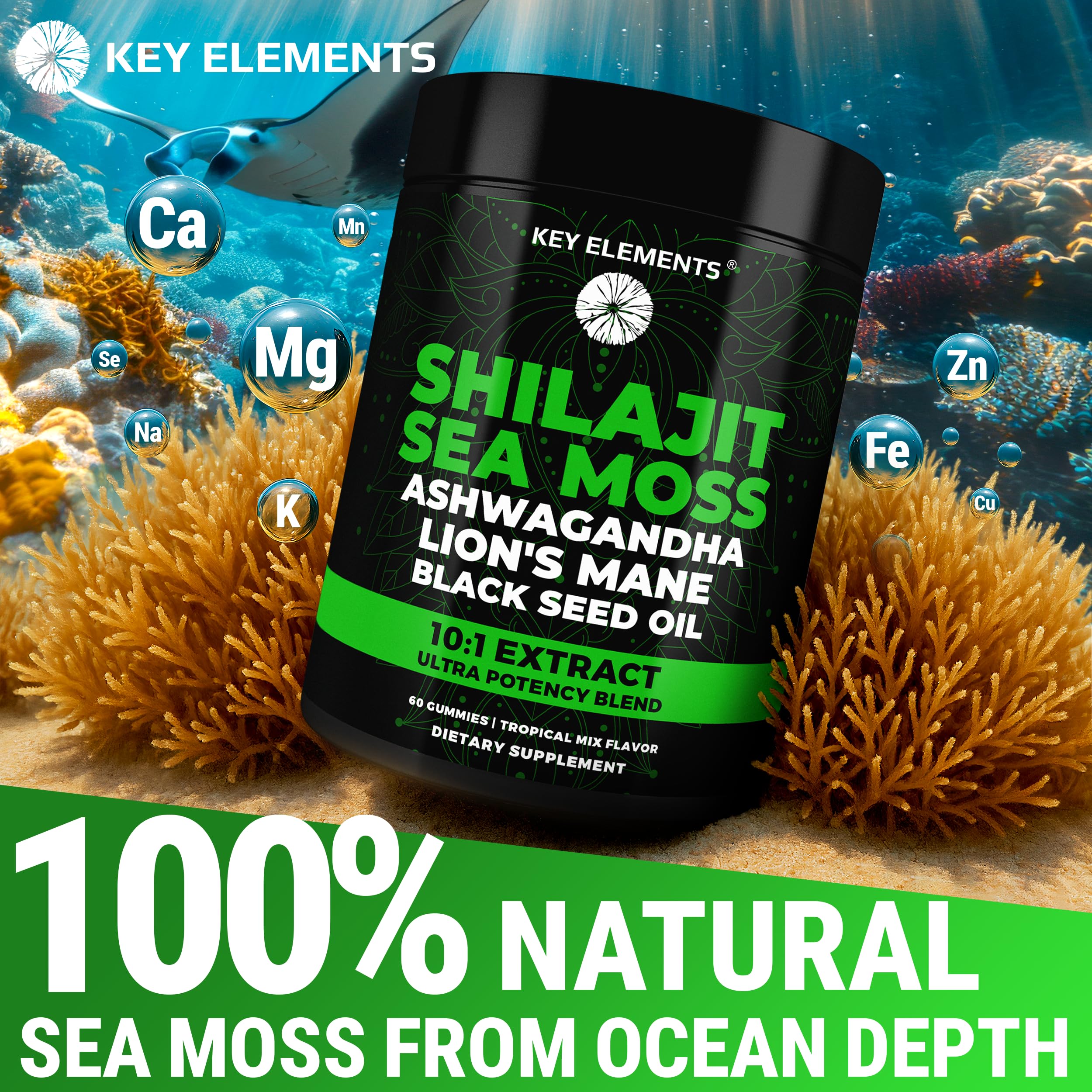 KEY ELEMENTS Tropical-fruit flavored gummies for a pleasant daily ritual.