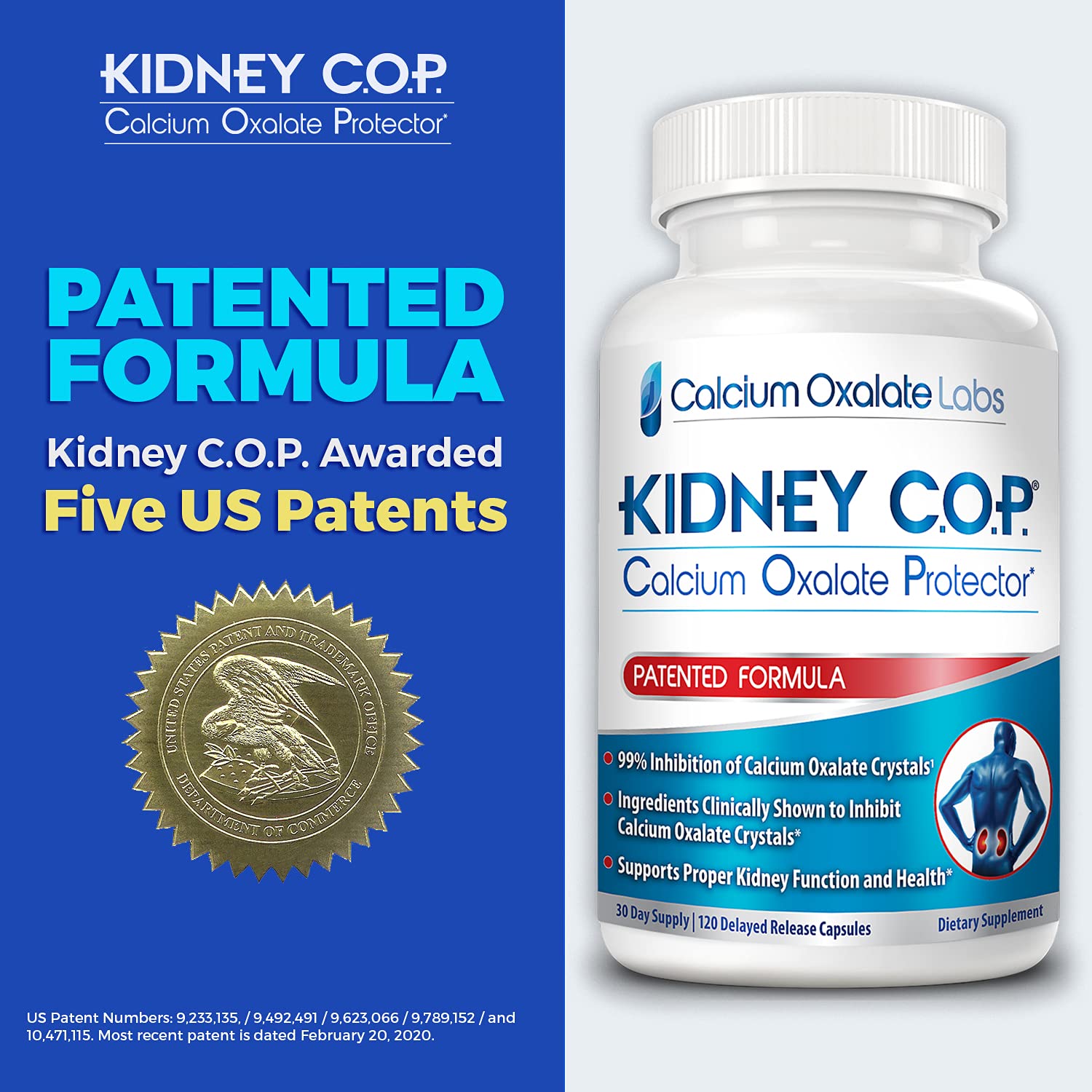 KIDNEY C.O.P. Calcium Oxalate Protector used in daily urinary health routine