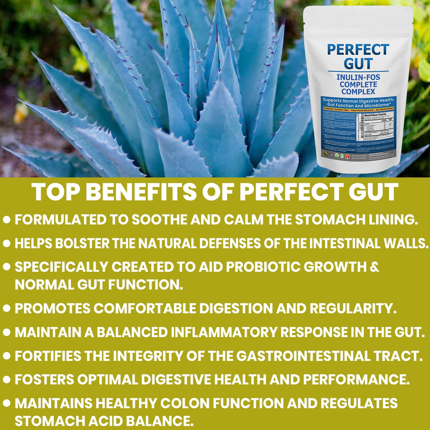 Scoop of Perfect Gut with measuring tool for versatile use