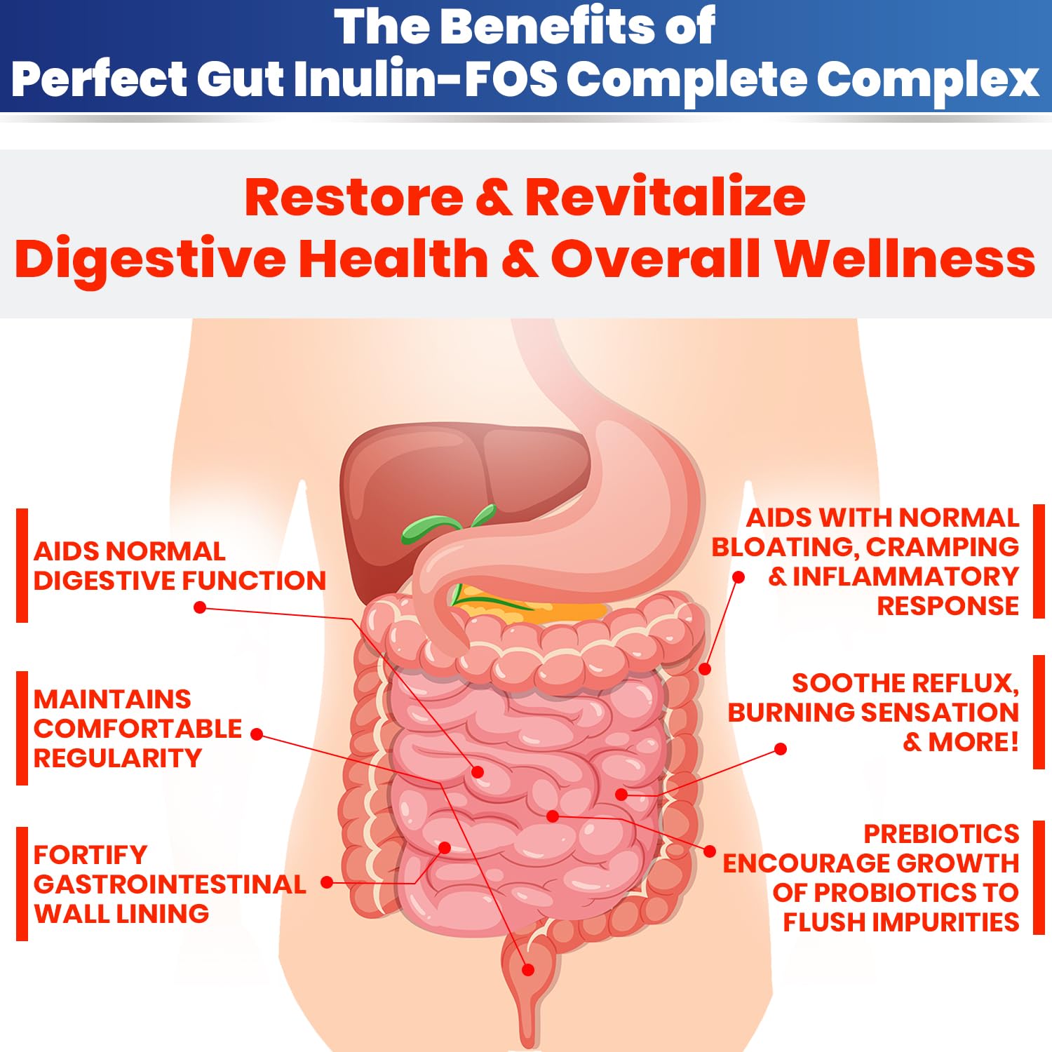 Perfect Gut in a smoothie promoting tasty prebiotic boost