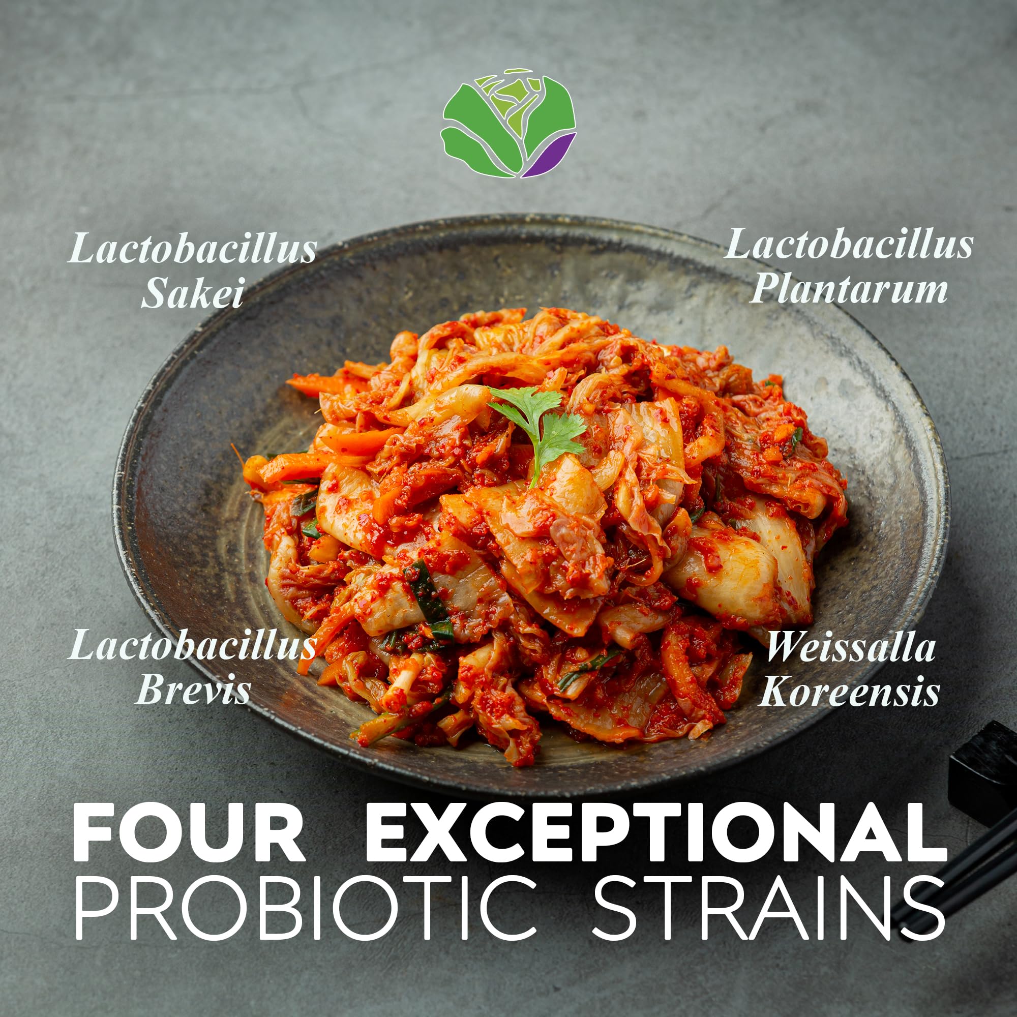 Kimchi Life capsules closeup highlighting fermented probiotics for energy and focus.