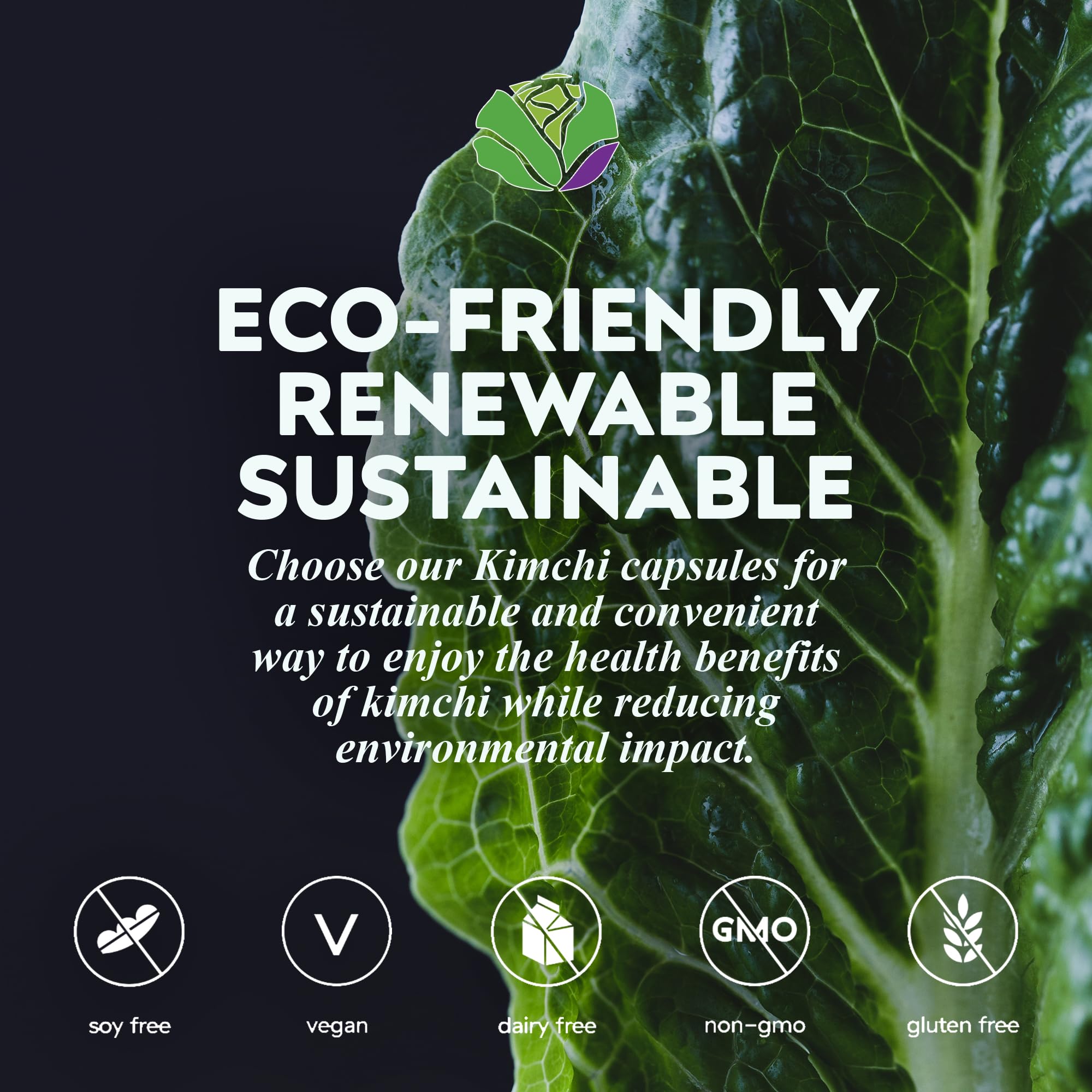 Kimchi Life supplement label showcasing vegan ingredients and natural fermentation method.