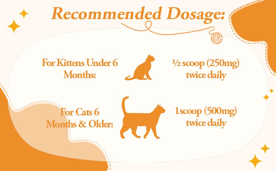 Kin Kun Lysine 5.3 oz packaging emphasizing a long-lasting supply for cats.