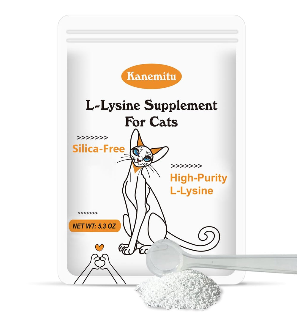 Kin Kun Lysine powder bottle for cats showing the product in daily immune support use.