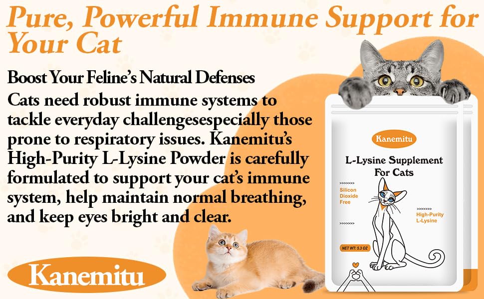 Kin Kun Lysine powder being mixed into cat meals for easy daily use.