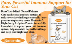 Kin Kun Lysine powder being mixed into cat meals for easy daily use.