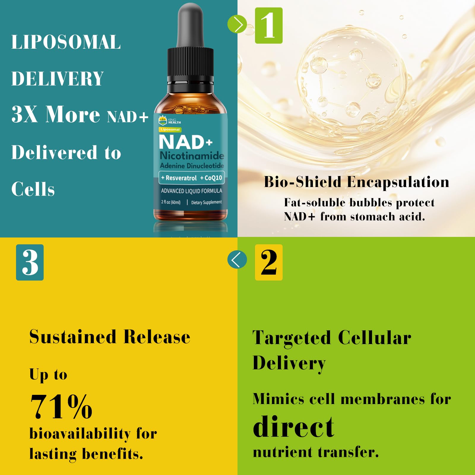 Droppers ready for 1–2 ml daily dosing for a simple routine.