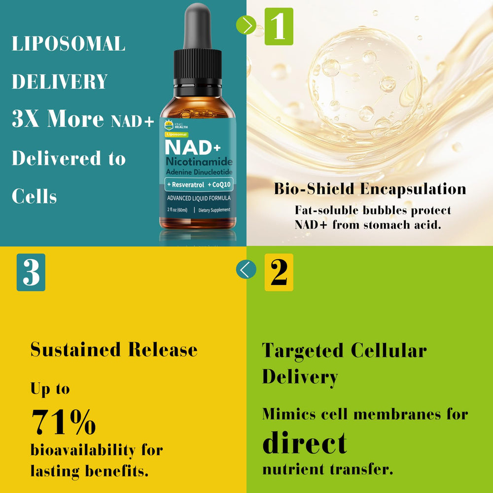 Droppers ready for 1–2 ml daily dosing for a simple routine.