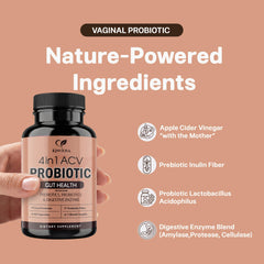 Kinvera broad-spectrum enzyme blend capsules aiding post-meal digestion.