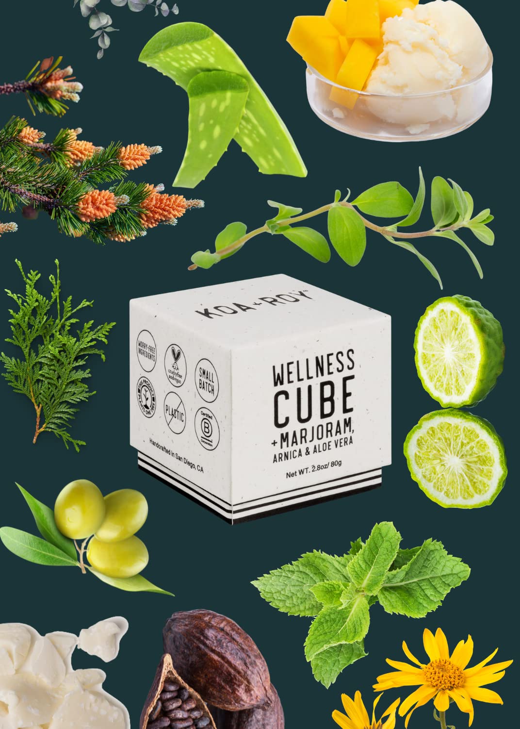 KOA ROY Wellness Cube plants-one-tree logo reflects responsible choices.