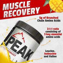 Kodiak Peak Post Workout creatine powder near a scoop hints energy support