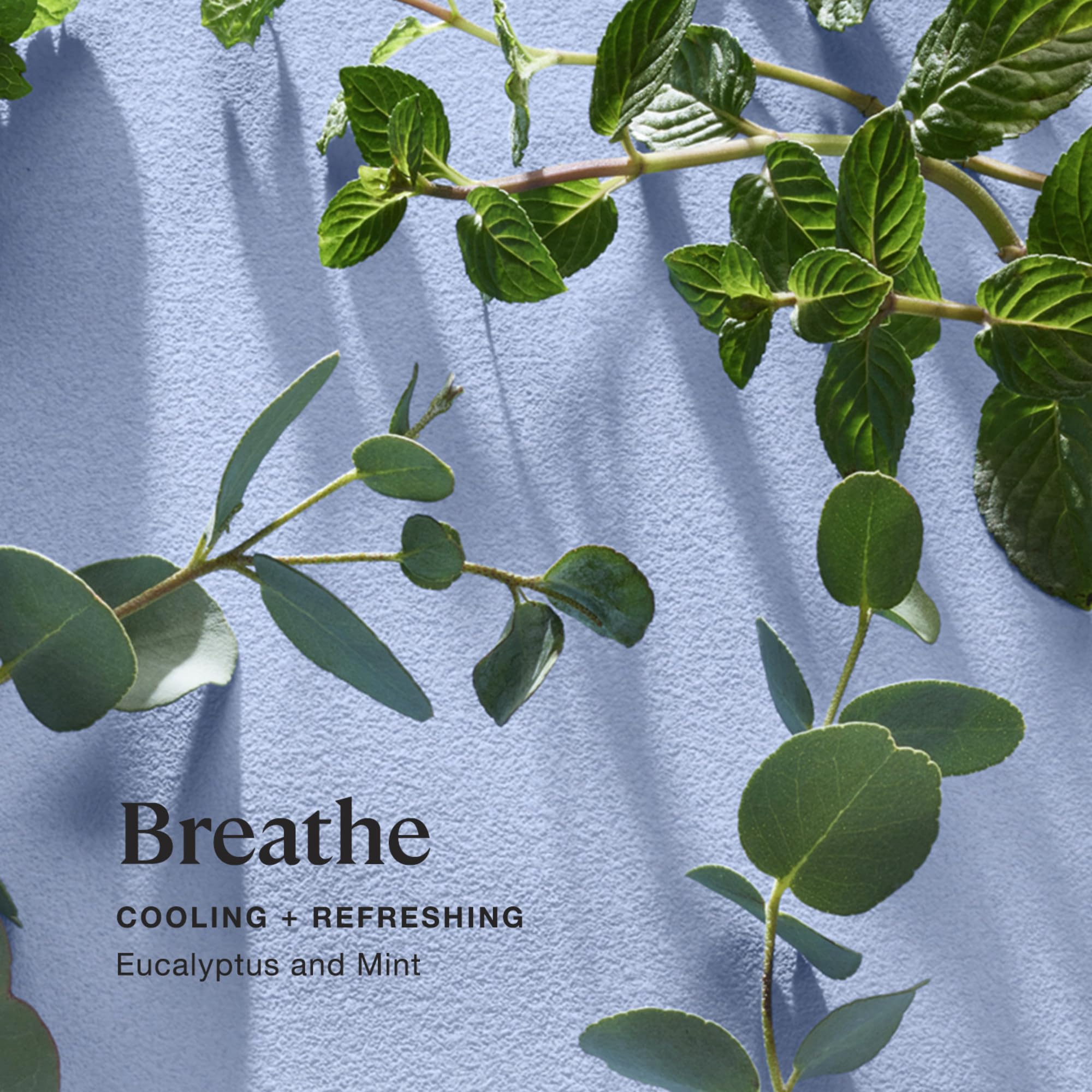 Kohler Sprig Breathe: vela con cera soja-coco natural para combustión limpia.