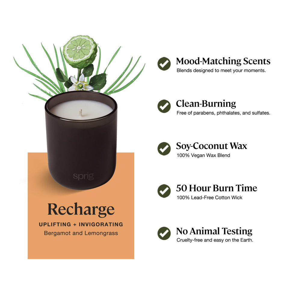 Kohler Sprig 100% lead-free wick close-up for steady flame.