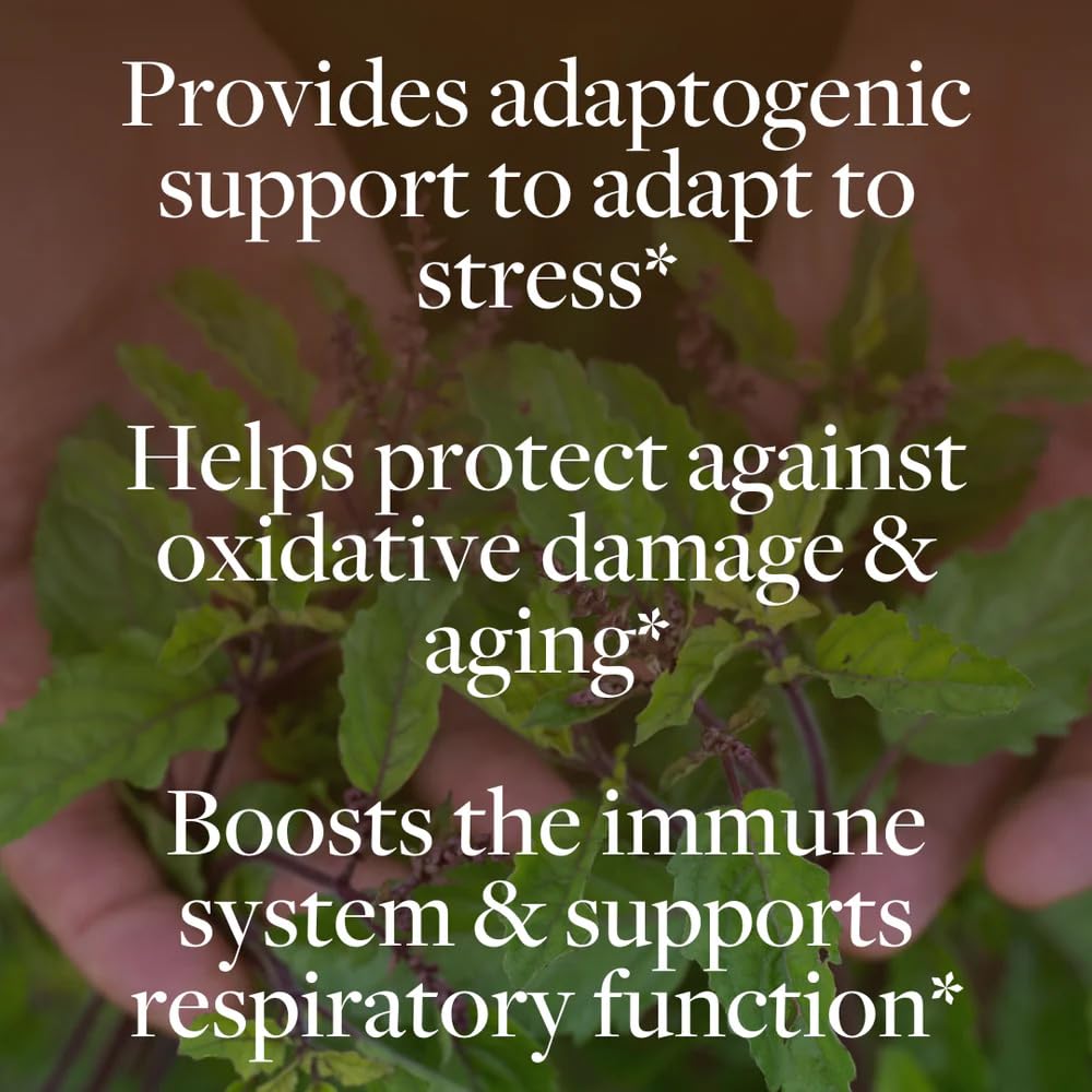 Kokora Holy Basil capsules for easy daily supplementation.