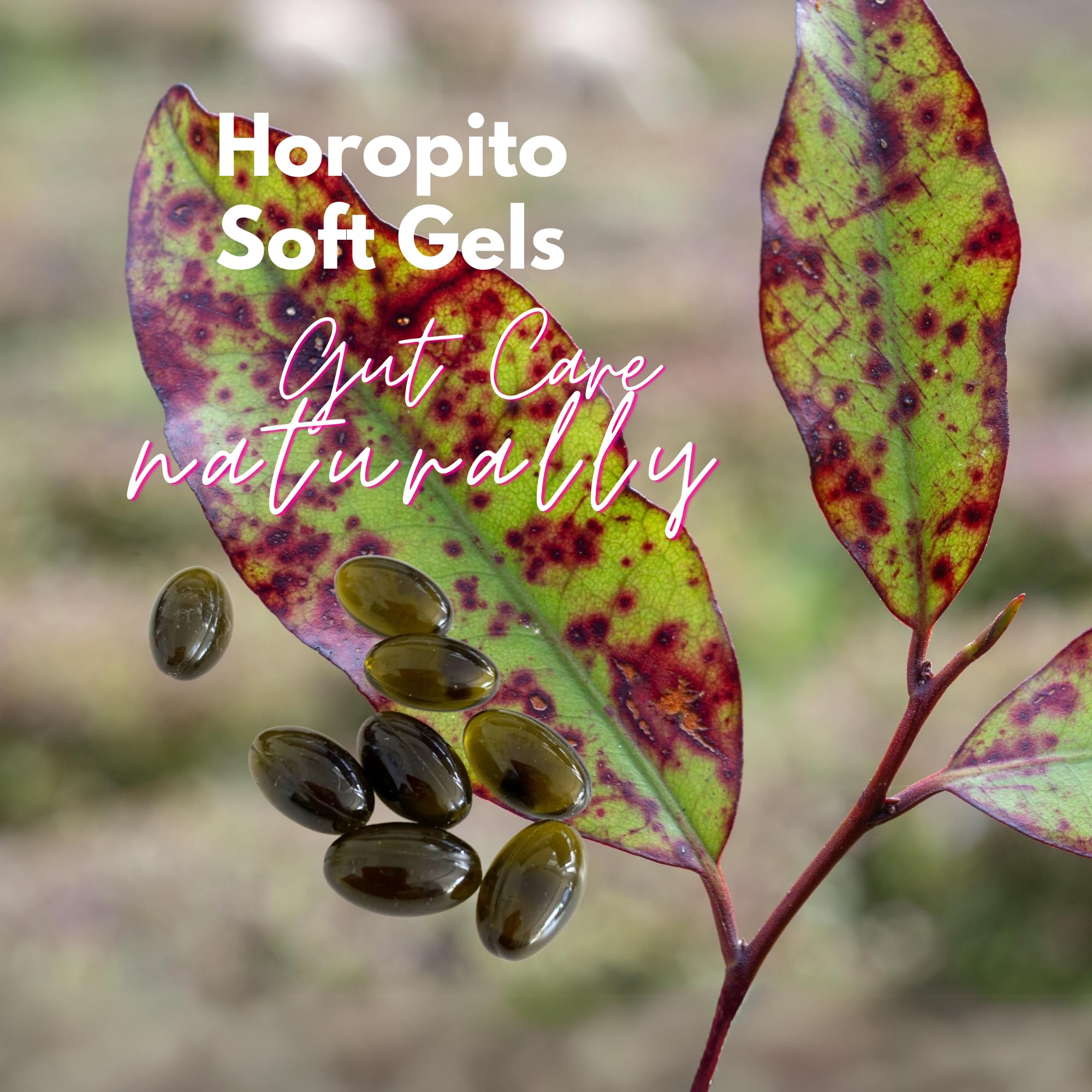 Kolorex Gut Care ingredient close-up showing Horopito herb
