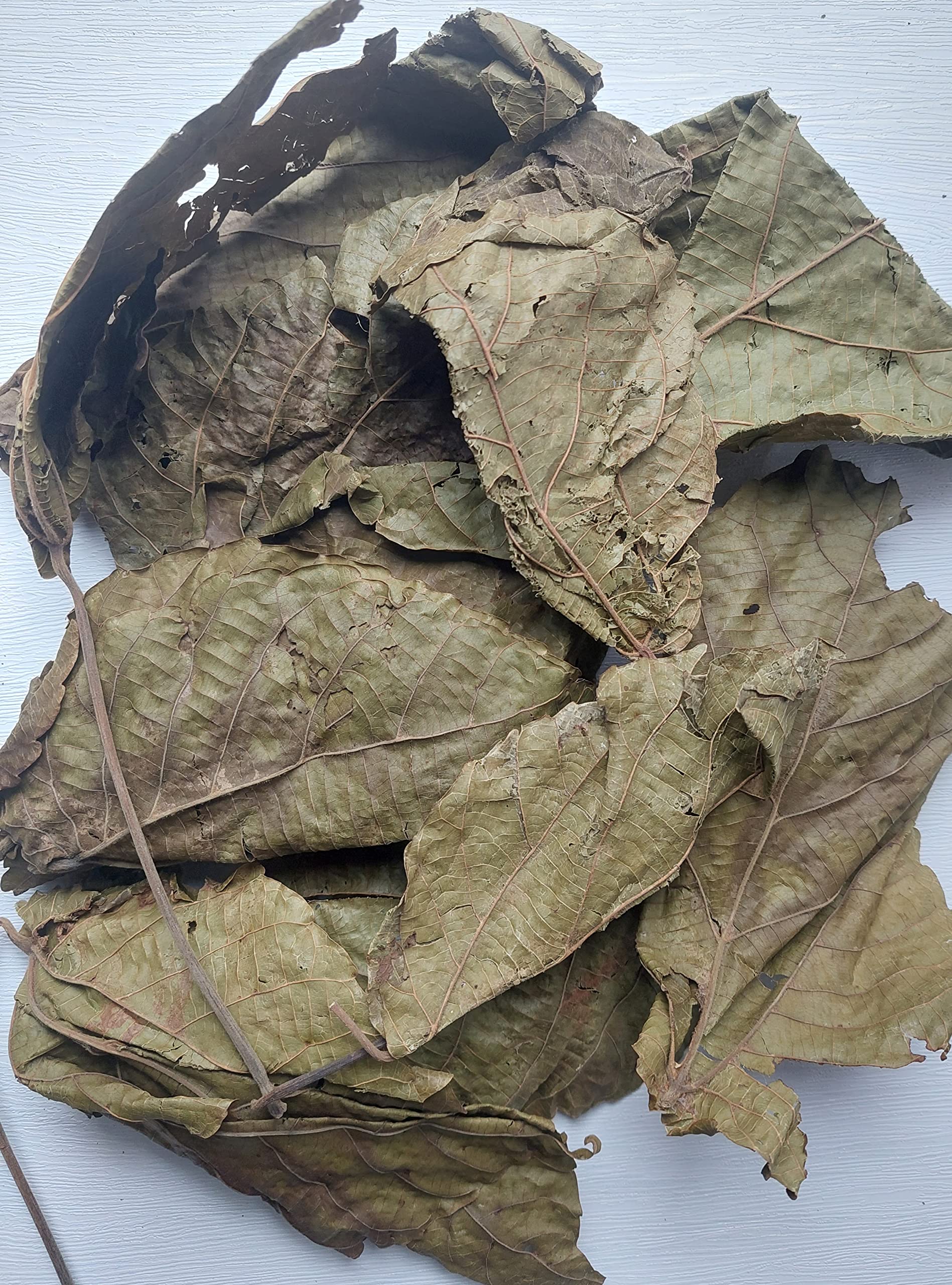 KOPABANA Green Djeka Leaves Cameroon-sourced leaves highlighting artisanal harvest.