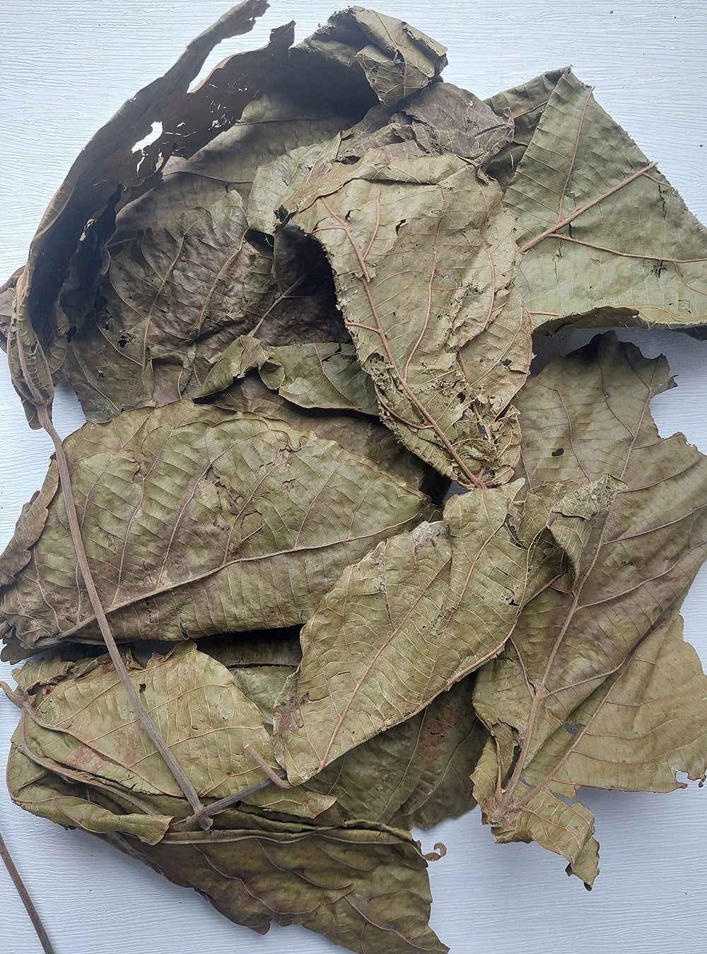 KOPABANA Green Djeka Leaves Cameroon-sourced leaves highlighting artisanal harvest.