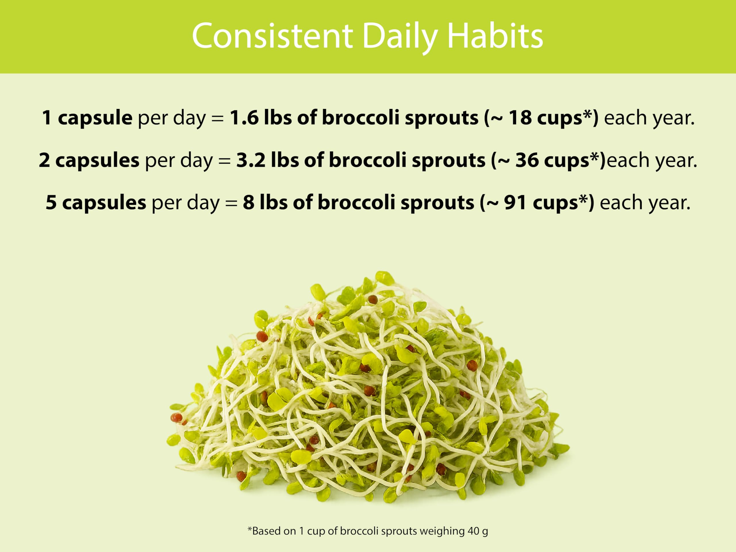 KOYAH broccoli sprout capsules ingredients listing emphasizes whole sprout powder