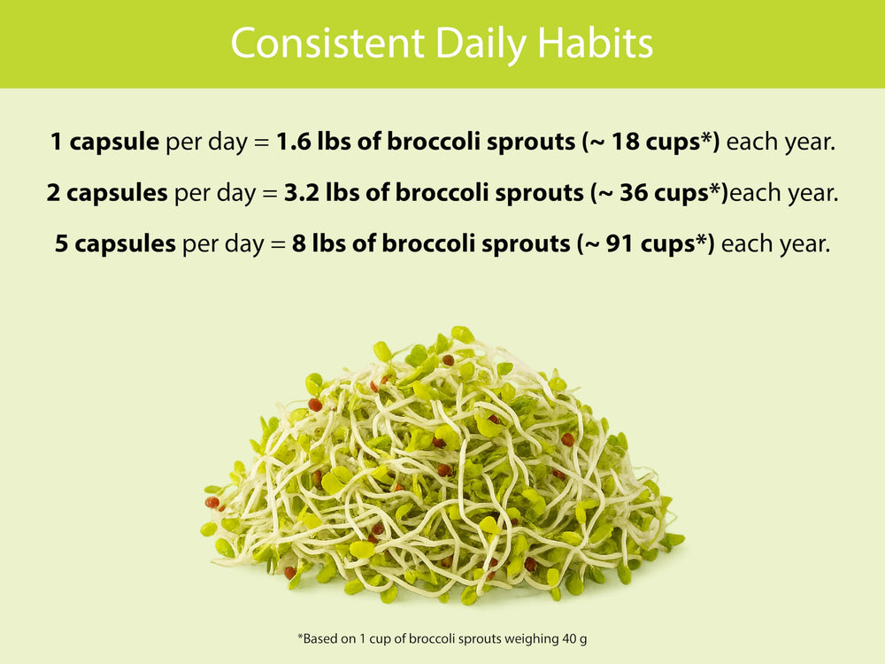 KOYAH broccoli sprout capsules ingredients listing emphasizes whole sprout powder