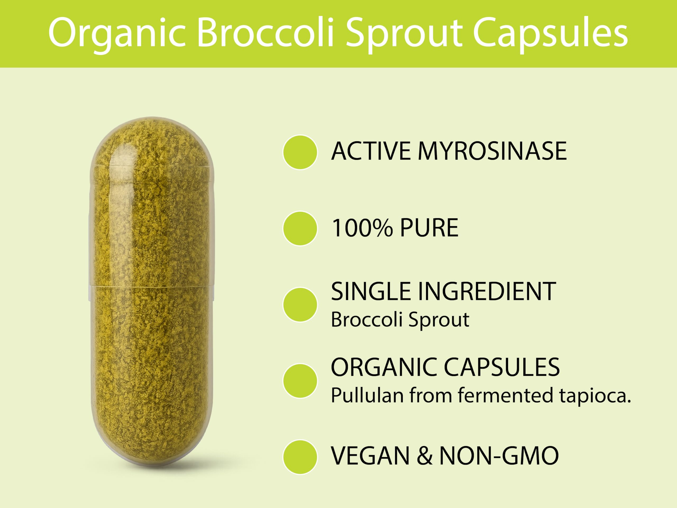 KOYAH freeze-dried broccoli sprouts powder texture detail