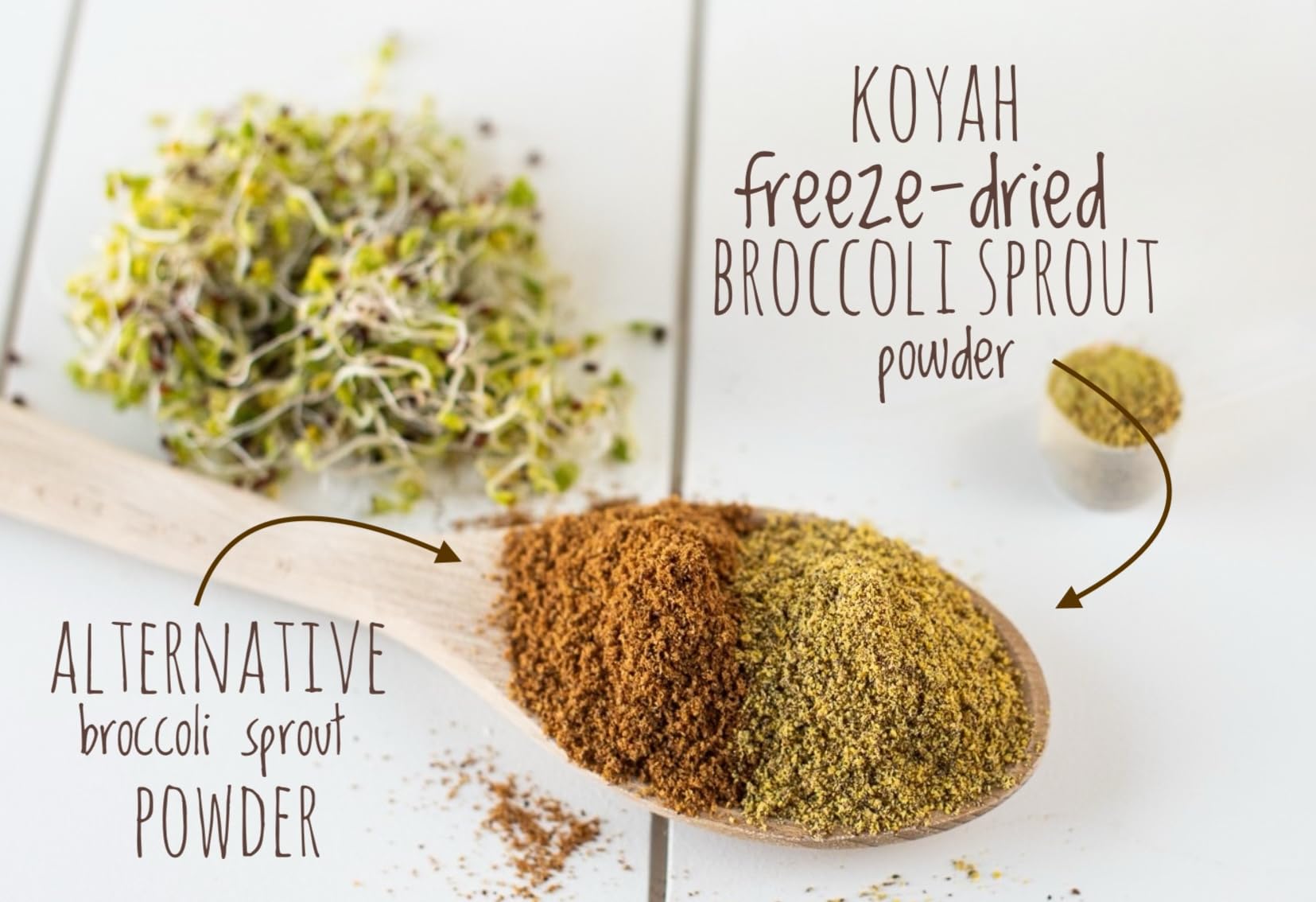 KOYAH freeze-dried broccoli sprouts process preserves active nutrients for easy everyday use