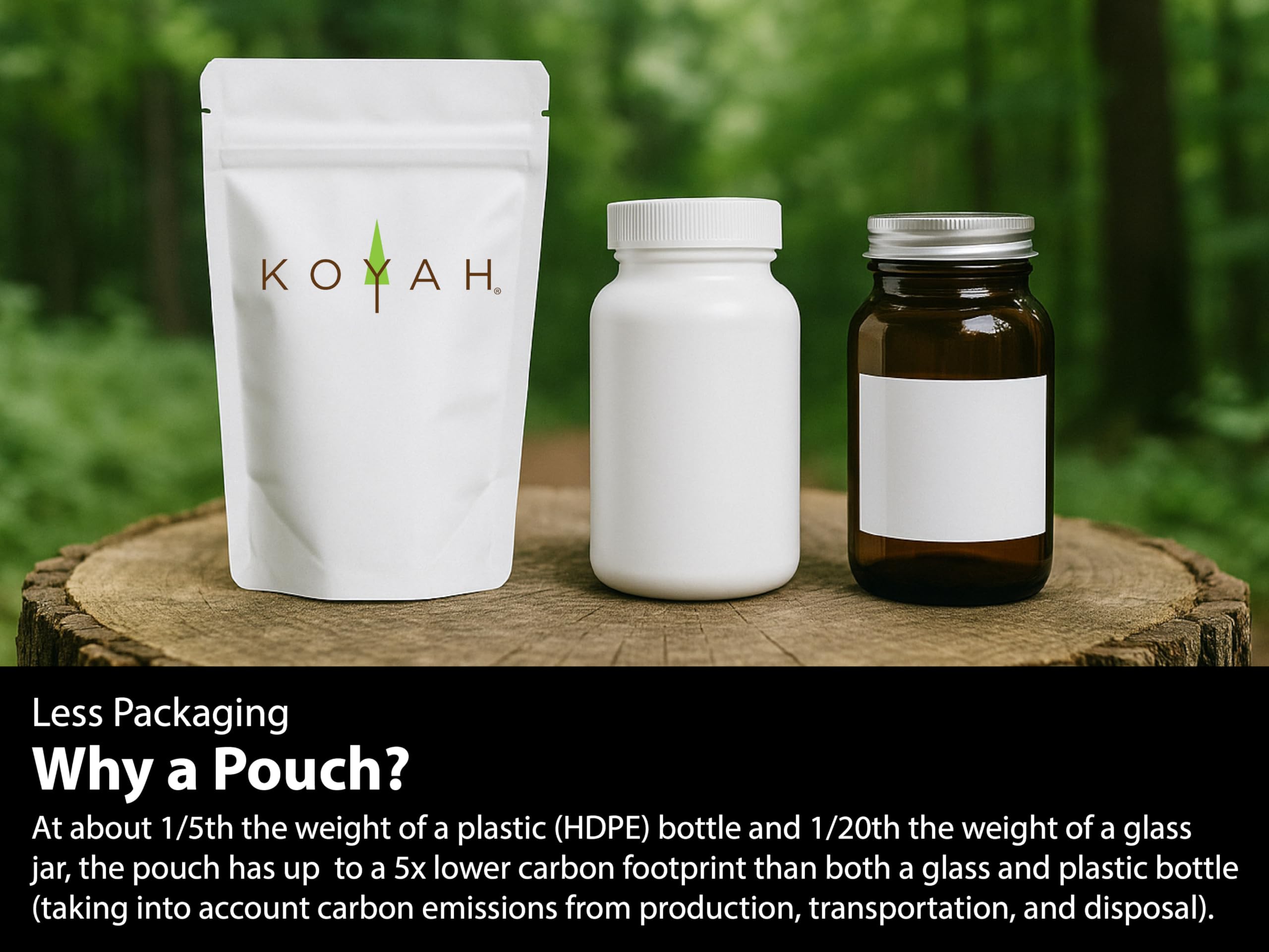 KOYAH Lions Mane powder in tea cup illustrating daily ritual