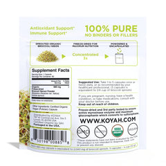 KOYAH bottle of broccoli sprout capsules ready for daily supplementation