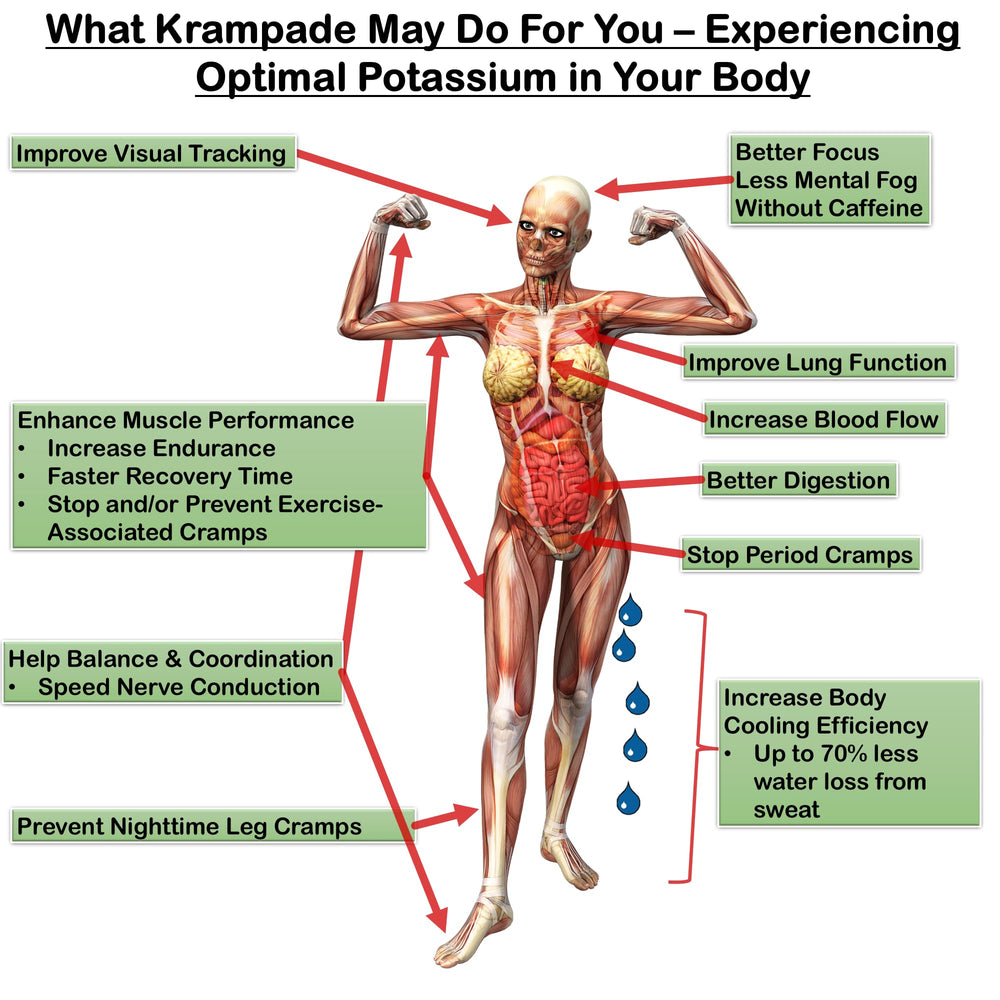 Krampade being stirred into a glass of water during exercise.