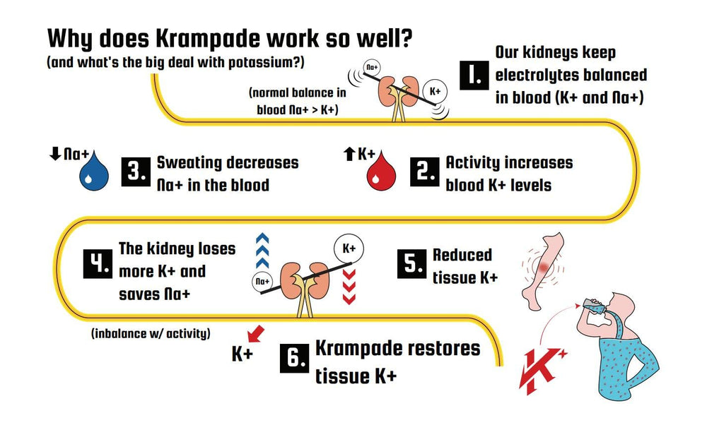 Krampade powder dissolving in clear water for easy hydration.