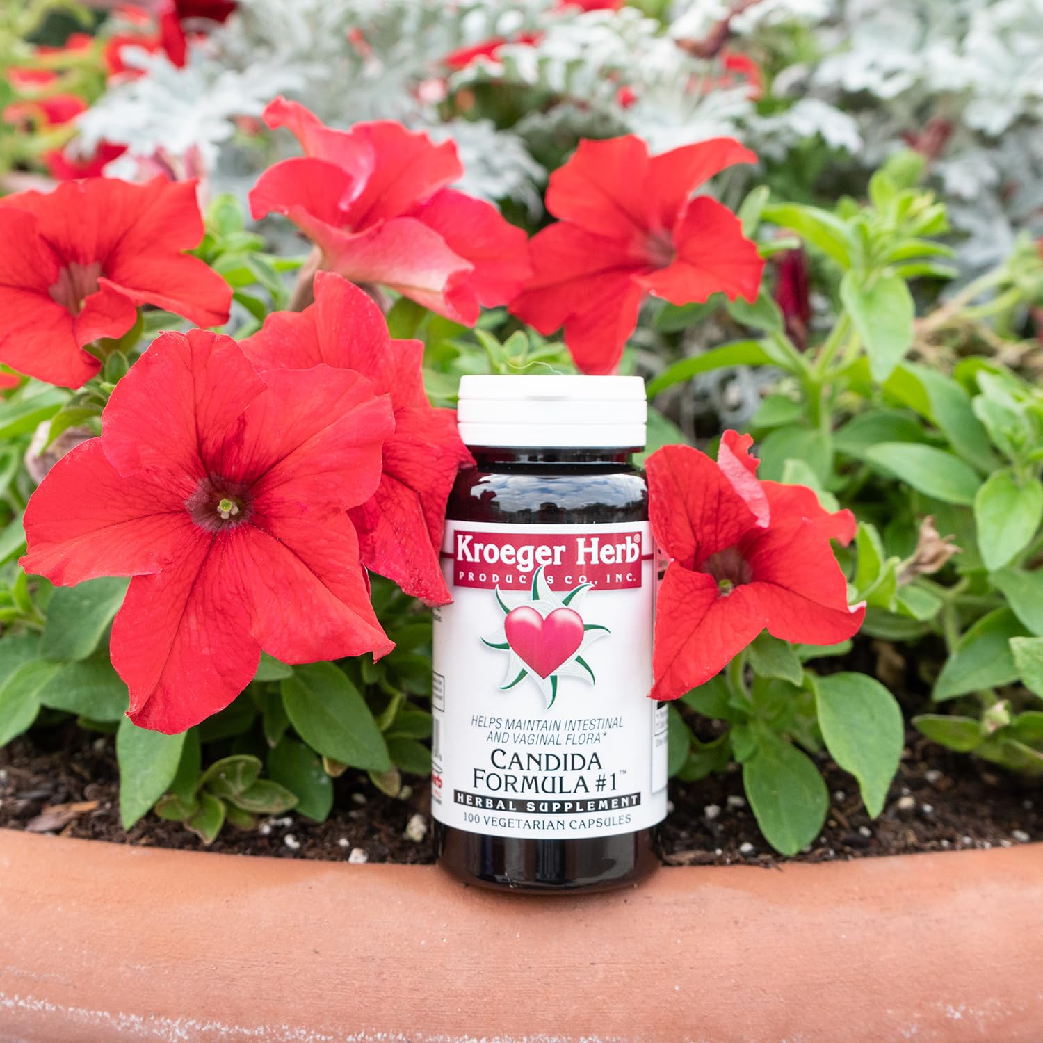 Kroeger Candida Formula 1 daily dosage guidance on bottle.