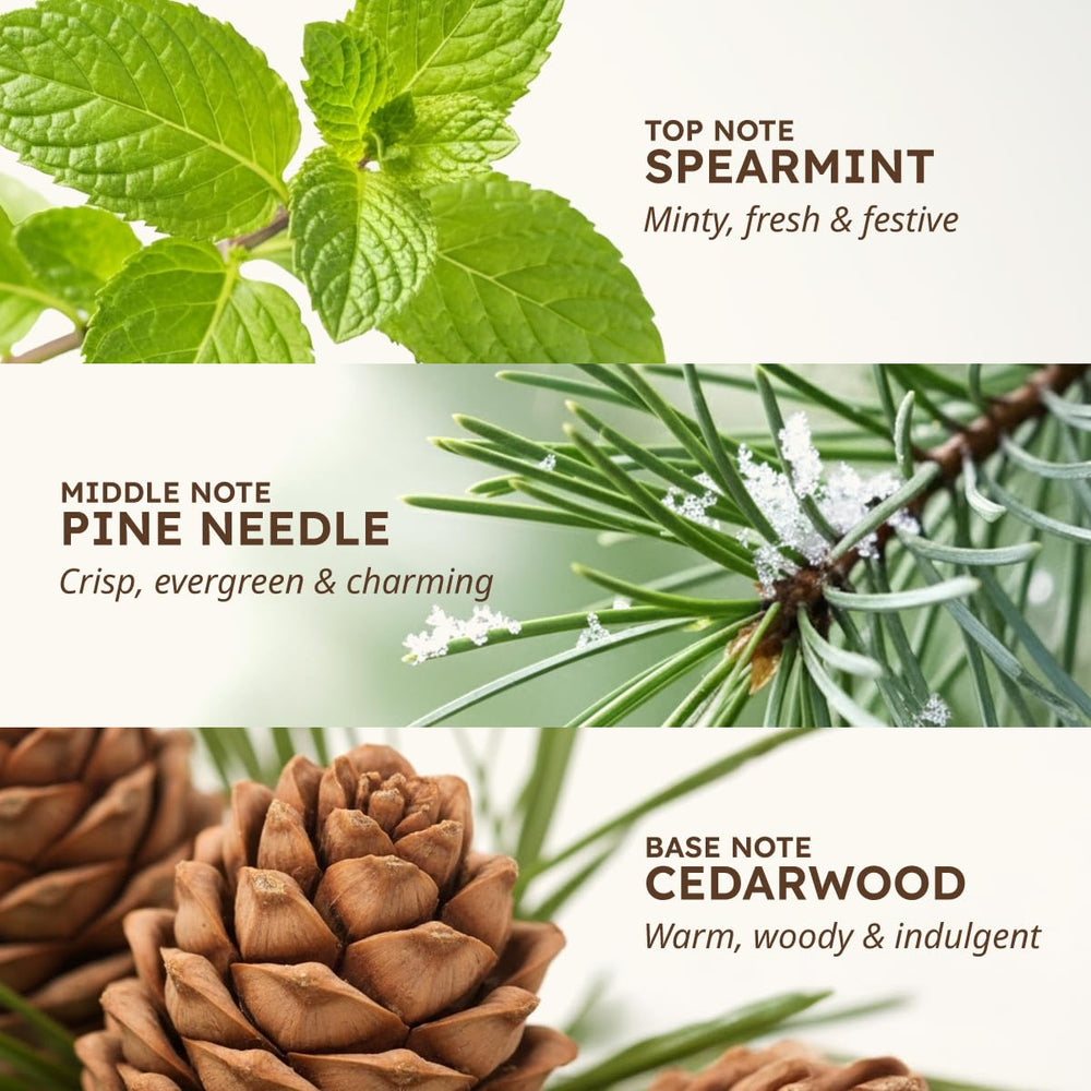 KUKKA pine needle fragrance notes highlighting natural pine scent.
