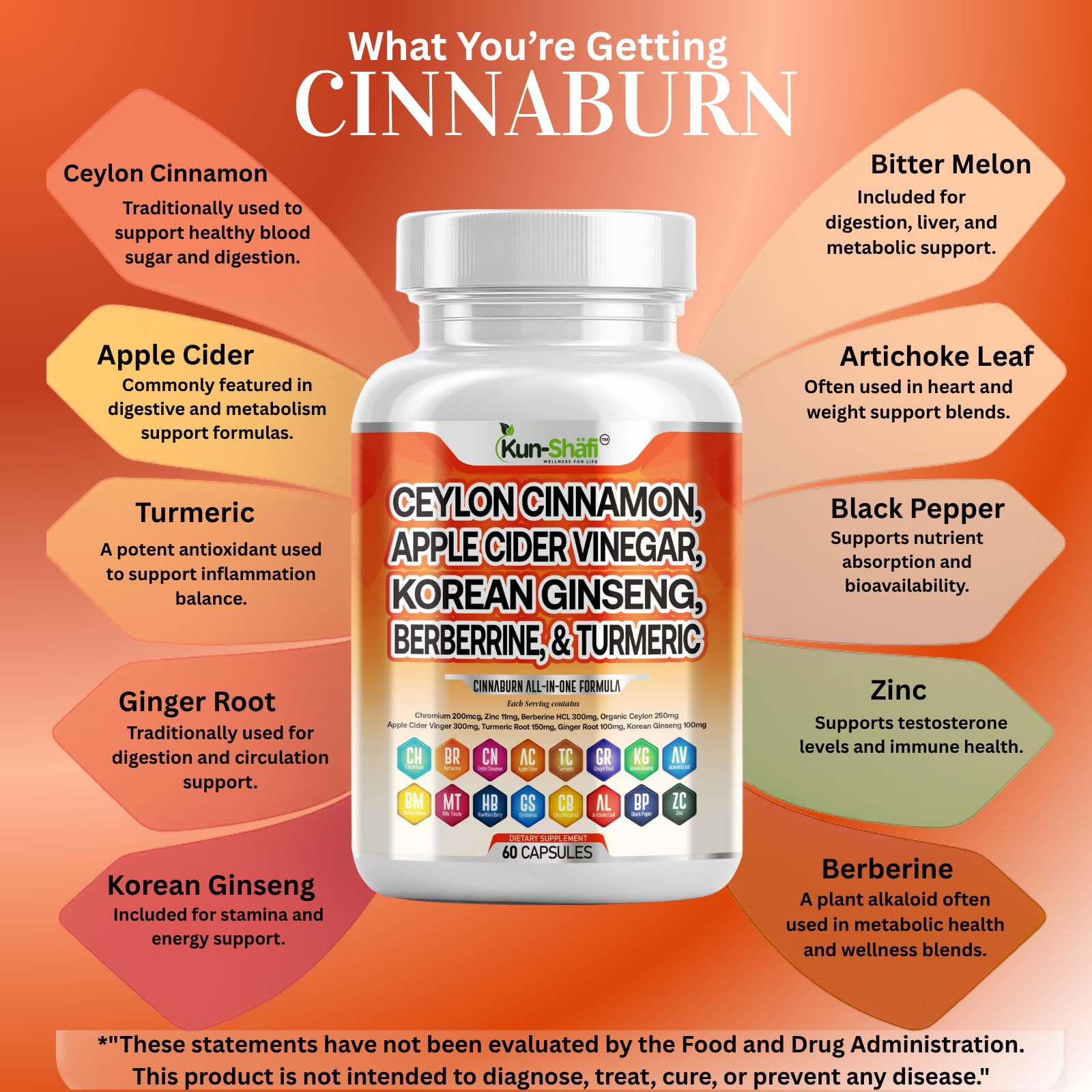 Kun Shafi CinnAburn herbal blend featuring gymnema and bitter melon for metabolic support