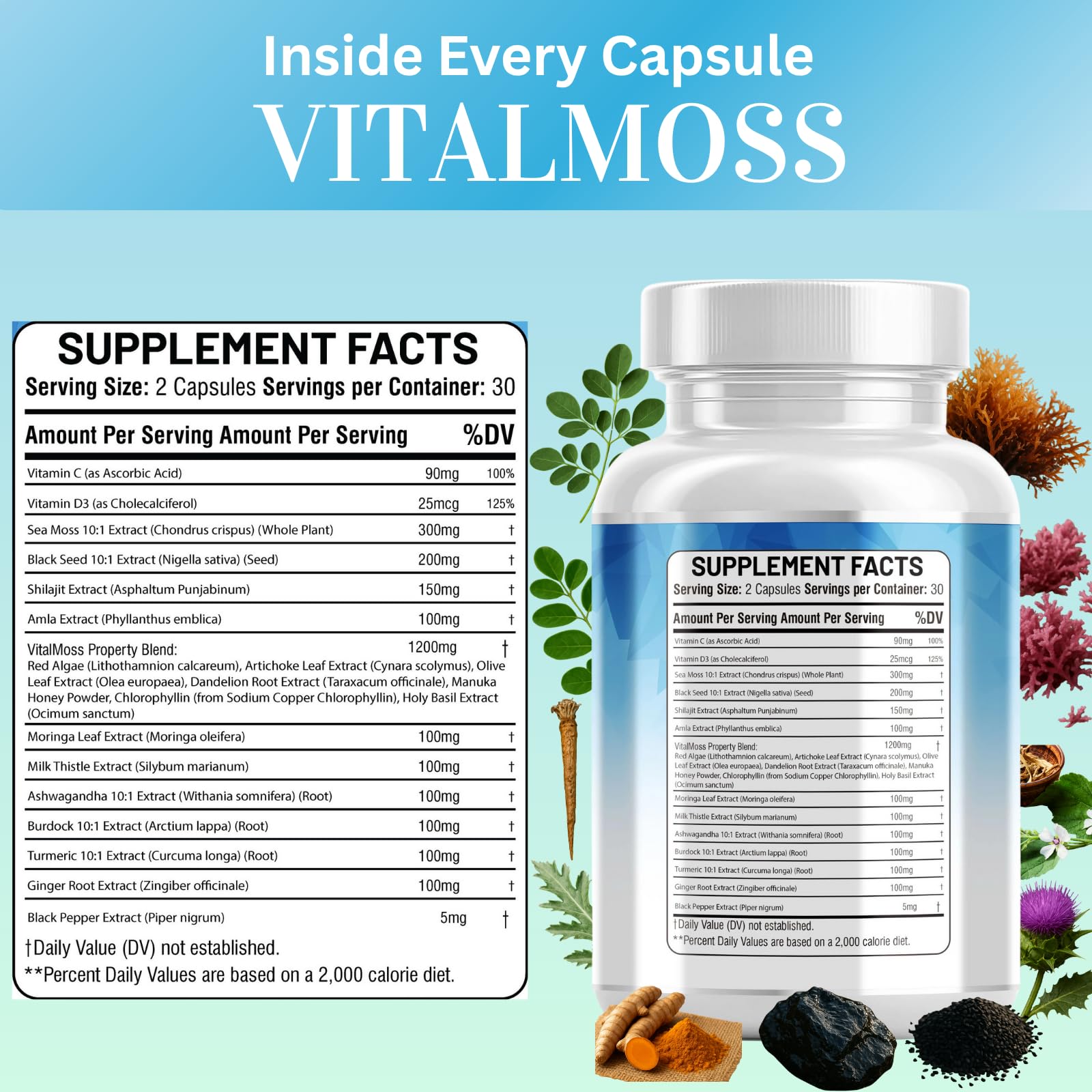 Kun Shafi VitalMoss daily routine setup demonstrates simple supplement habit.