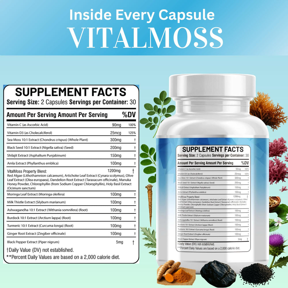 Kun Shafi VitalMoss daily routine setup demonstrates simple supplement habit.