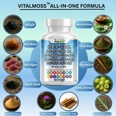 Kun Shafi VitalMoss ingredient blend chart shows 15+ botanicals.