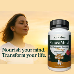Kuwaloo Lion’s Mane, Reishi, Cordyceps ingredients graphic for immune-friendly wellness.