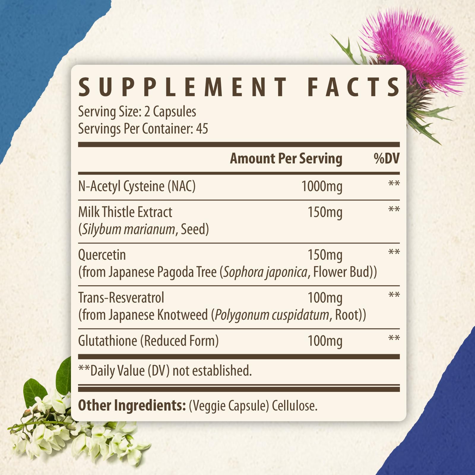 Kynderynl NAC capsules close-up highlighting vegan formula.
