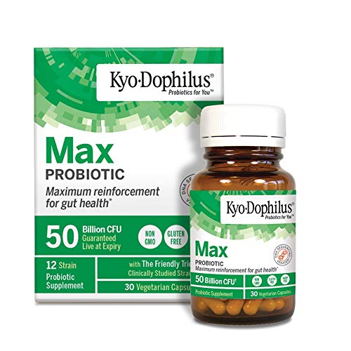 Kyo-Dophilus box packaging displayed for travel-friendly probiotic