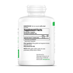 Kyolic Aged Garlic Extract Formula 100 bottle label highlights organic origin.