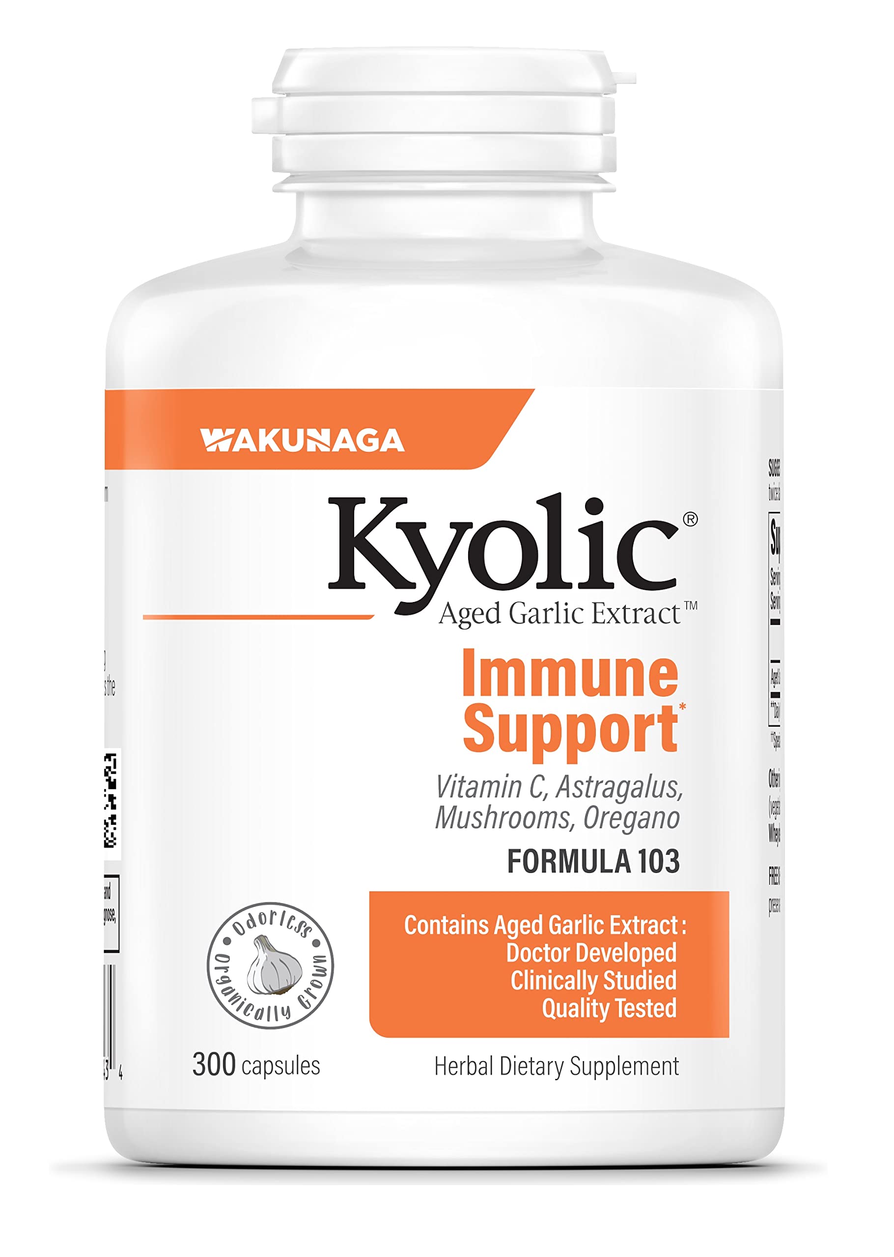 Kyolic Aged Garlic Extract Formula 103 bottle front view for daily immune support.