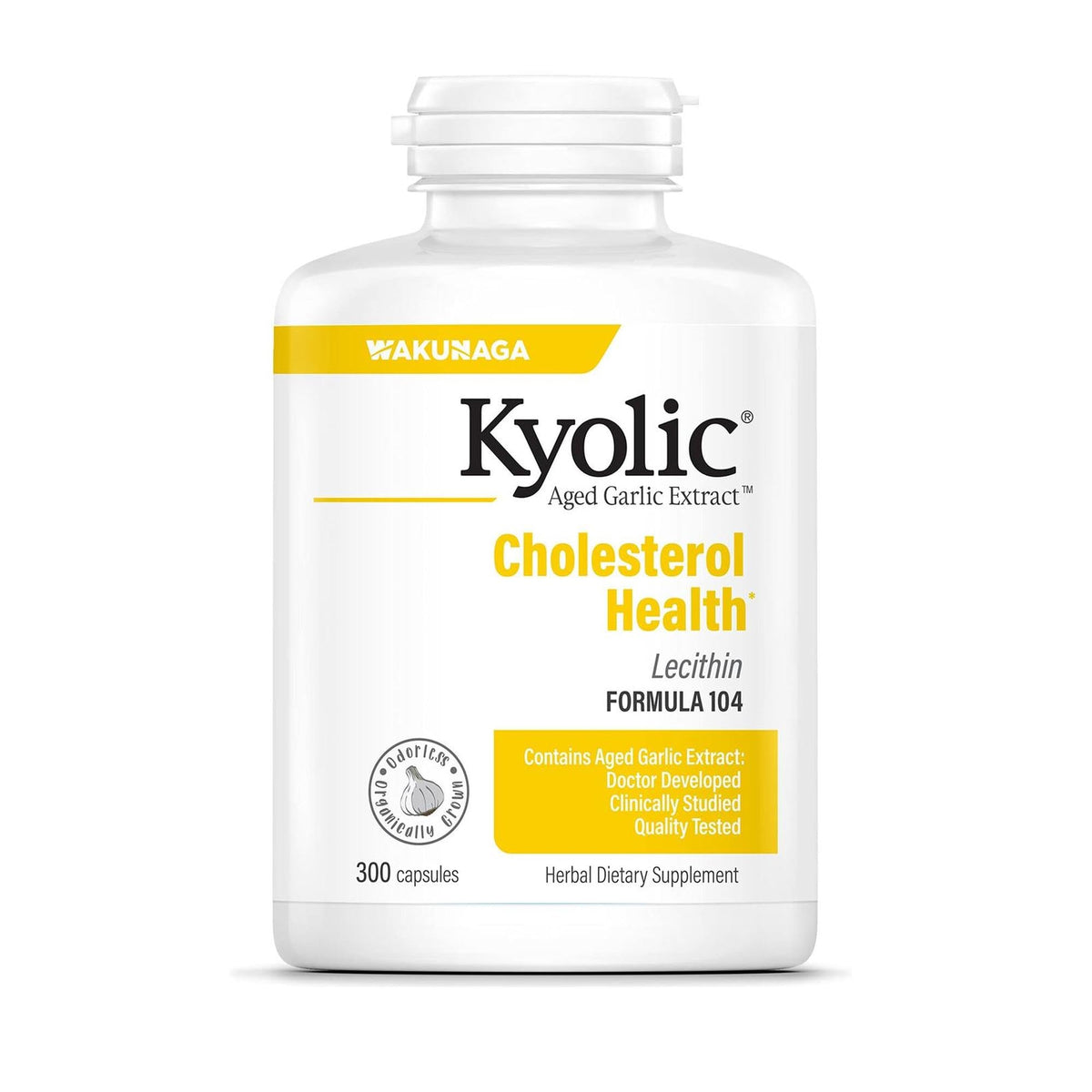 Kyolic Aged Garlic Extract Formula 104 bottle front shows potential cholesterol support