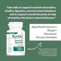 Kyolic Aged Garlic Extract Formula102 capsules close-up, convenient digestive support potential.
