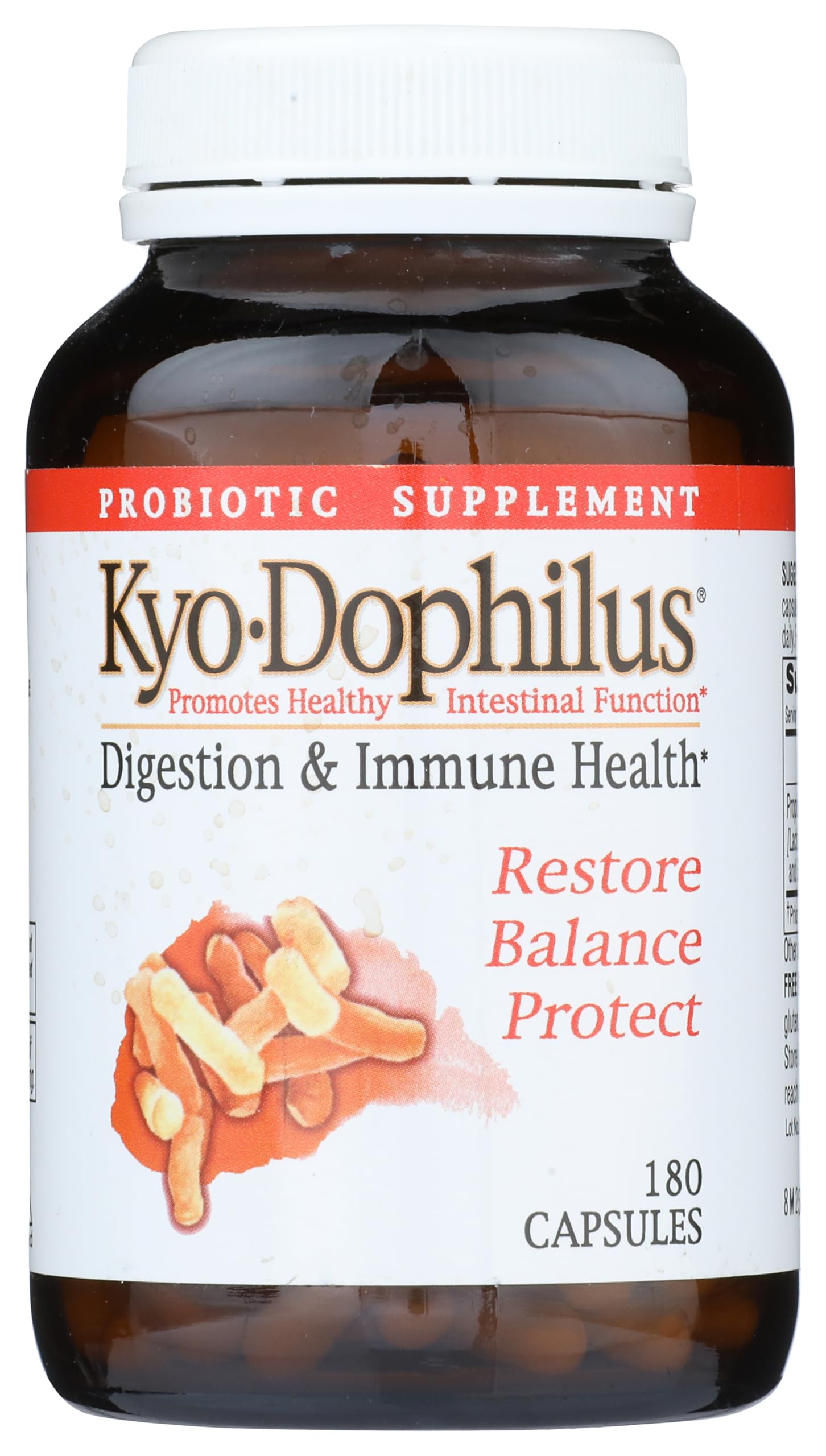 Kyolic Kyo-Dophilus bottle 1 lb with probiotic capsules for daily digestive support