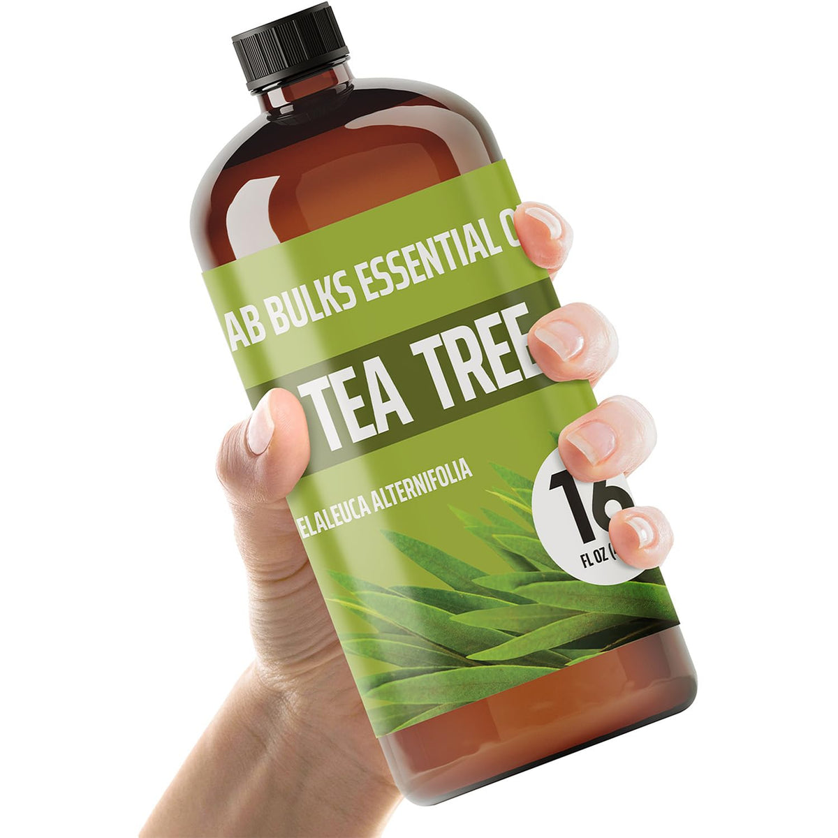 Lab Bulks Tea Tree Oil 16oz bottle for diffusers and DIY blends.