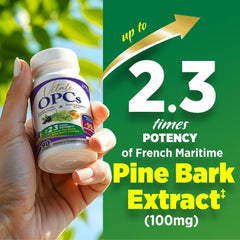 LABO Nutrition Vitale OPCs label detail reveals VP-100 potency and bioflavonoid blend.