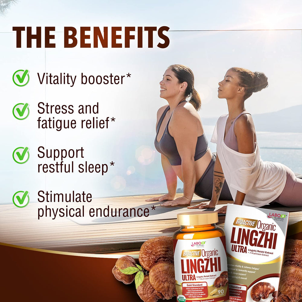 LABO Nutrition Bioactive Lingzhi Reishi Ultra capsule close-up highlights premium mushroom blend