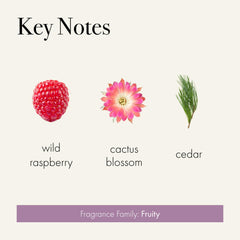 LAFCO New York Midnight Cactus scent notes label highlights Twilight and raspberry for evenings.