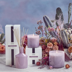 LAFCO New York Midnight Cactus in hand-blown vessel complements any room.