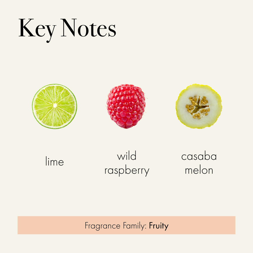 LAFCO New York Smart Diffuser control and scheduling for personalized fragrance.